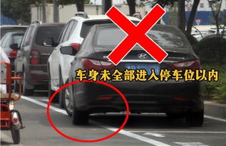 汽车停车被罚款多少